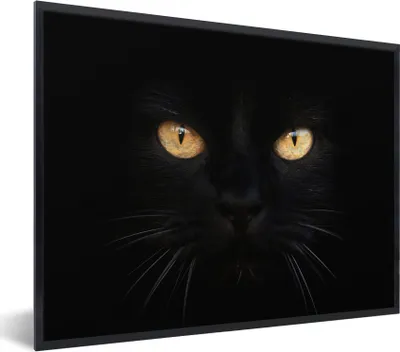 Produktbild von MuchoWow® MuchoWow® Gerahmtes Poster Nahaufnahme einer schwarzen Katze 80x60 cm - Poster mit zchwarzem Bilderrahmen - Schwarzem - Mit Gestell