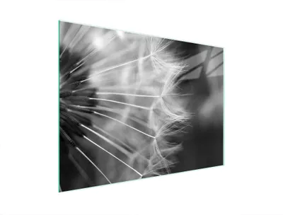 Image de Planche à découper en verre 40x30 Fleur