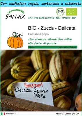 Immagine prodotto di SAFLAX Set regalo -- Zucca - Delicata - 6 semi - Cucurbita