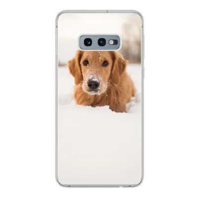 Produktbild von MuchoWow® Handyhülle Schutzhülle Hülle für Samsung Galaxy S10e Hund - Schnee - Winter Silikon Softcase Handy Hülle - Handy