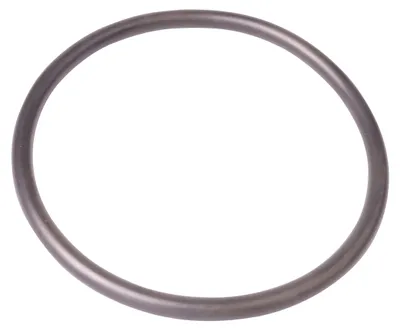 Immagine prodotto di OASE 27669 O-ring NBR 156 x 10 SH70