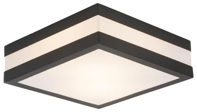 Zdjęcie produktu dla Lampa sufitowa zewnętrzna z 2 oprawami
