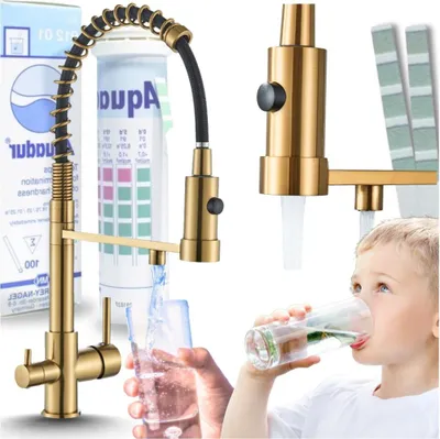 Produktbild von 3-Wege Küchenarmatur Solid Spring mit Wasserfilter-Anschluss, herausziehbare Brause, 360° schwenkbar, getrennte Wasserwege, Keramikkartusche Gold