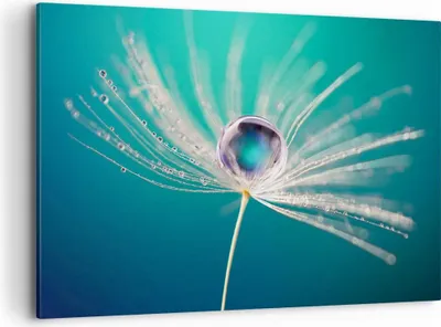 Produktbild von Bild auf Leinwand - Leinwandbild - Pflanze Natur - 120x80cm - Wand Bild - Wanddeko - Wandbilder - Leinwanddruck - Bilder - Kunstdruck - Wanddekoration - Leinwand bilder - Wandkunst - AA120x80-3991