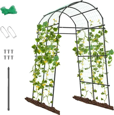 Produktbild von Gartenbogen für Kletterreben, 3 x 2 Fuss Rosenbogen aus Metall, Gartentunnelgitter 230 cm Hoehe, Inkl. 31 Clips & 1 Bohrstange, Torbogen für Gemüse Obst Blumen