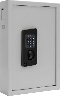 Produktbild von Profirst Schlüsseltresor Nestro 48 Elektronikschloss grau