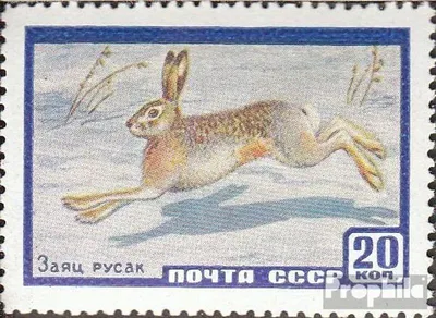 Produktbild von Briefmarken Sowjetunion 1960 Mi 2323 (kompl.Ausg.) postfrisch Tiere