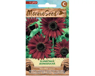 Image de Tournesol annuel simple, rouge 01715