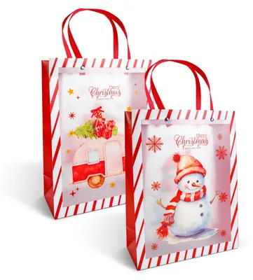 Image de Sac cadeau de Noël - 32 x 25 x 11 cm - 2 modèles