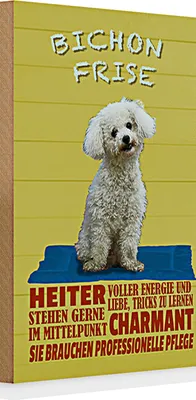 Produktbild von Holzschild Spruch 20x30cm Hund Bichon Frise charmant
