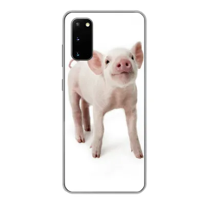 Produktbild von MuchoWow® Handyhülle Schutzhülle Hülle für Samsung Galaxy S20 Schwein - Tiere - Weiß Silikon Softcase Handy Hülle - Bild