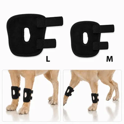 Produktbild von 2er Set Hunde Vorderbein-Schiene (L+M) – postoperative Pfotenschutz, Anti-Leck Verband, atmungsaktiv, weich, verstellbar, für Heilung & Gelenke