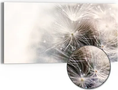 Produktbild von DEQORI Hybrid Leinwand Bild 60x30 cm 'Detailaufnahme Pusteblume' Wandbild Glas flach modern