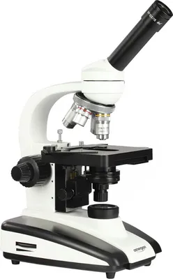 Produktbild von Omegon Mikroskop BioMon, 40x-1000x, LED