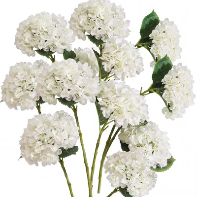 Künstliche Hortensien, 12 Stück, 39 cm, Seide, weiß für Hochzeit