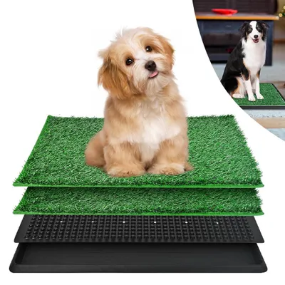 Produktbild von Hundetoilette, Hundeklo, Welpentoilette für die Wohnung, Trainingsunterlage für Welpen und Hunde, mit 2X Kunstrasenmattes und Auffangschale