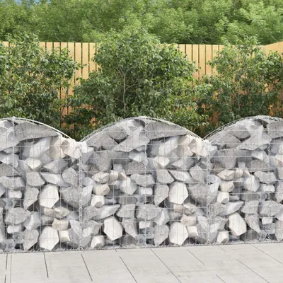 Image de vidaXL Gabion avec arc surélevé 100x30x80/100 cm Fer galvanisé