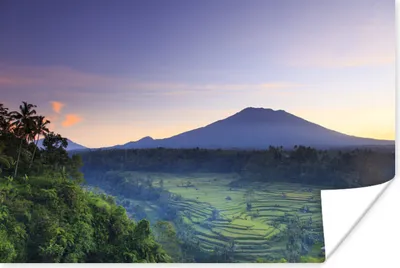 Produktbild von MuchoWow® Poster Reisfelder in Indonesien 30x20 cm - Plakate - Print