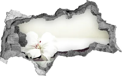 Produktbild von Selbstklebender Loch-3D-Aufkleber 95x73 cm Vanillebohnen