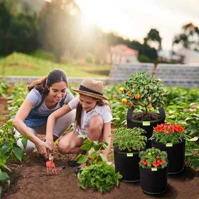 Productafbeelding van Famanu plantenzakken, 40 liter - Ademende plantenbakken voor groenten en bloemen