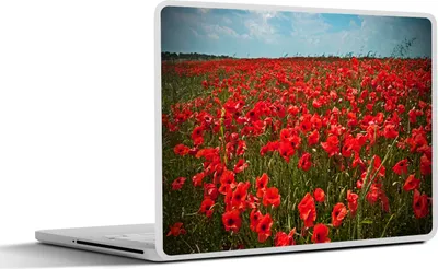 Produktbild von MuchoWow® Laptop Aufkleber Sticker Cover Eine Wiese voller Mohnblumen 31x22.5 cm - Laptop-Deko