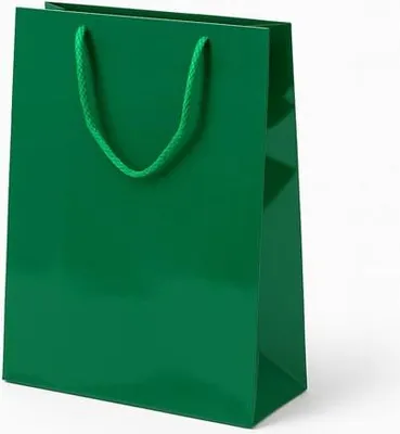 Produktbild von Laminierte Geschenktüte 240 x 90 x 320, grün