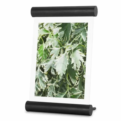 Productafbeelding van Umbra Scroll, fotolijst voor één foto, hout, zwart, wanddecoratie, 13 x 18 cm, rechthoekig