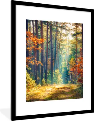 Produktbild von MuchoWow® Gerahmtes Poster Wald - Sonne - Natur - Herbst 60x80 cm - Poster mit Schwarzem Bilderrahmen Wandposter Rahmen Foto Bilder - Wohnzimmer - Dekorationen - Prämie