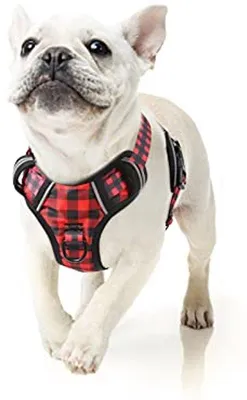 Produktbild von Famanu Hundegeschirr für Kleine Hunde - Verstellbar und Reflektierend