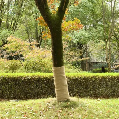 Image de Tissu de jute 1x10 m 100% jute 200 g/m