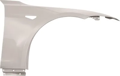 Image de DIEDERICHS 7940106 Aile avant droite pour TESLA MODEL S (5YJS) 2016-