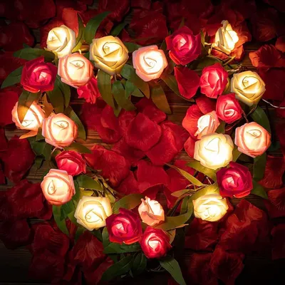 Produktbild von 3M LED Rosen Lichterkette 20 Blumen Batteriebetrieben Romantische Rosengirlande für Valentinstag Hochzeit Party Deko, Rosa & Rot & Weiß