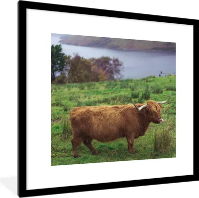 Produktbild von MuchoWow® Gerahmtes Poster Schottische Highlander - Gras - Wasser - Tiere 40x40 cm - Poster mit Schwarzem Bilderrahmen Wandposter Rahmen Foto Bilder - Poster - Plakat im Rahmen