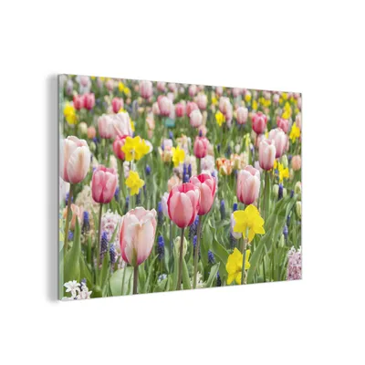 Obrázok produktu pre MuchoWow® Sklenené obrazy - Obrazy na stenu - Foto na skle Tulipánová záhrada 60x40cm Nástenná dekorácia zo skla - akrylový sklenený obraz - akrylové obrazy