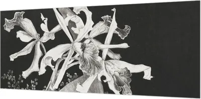Produktbild von Wandtapete - Dekorative Tapete für Wohnzimmer- Tapetenfolie für Wanddekoration - 208x146 cm - Orchideenillustration