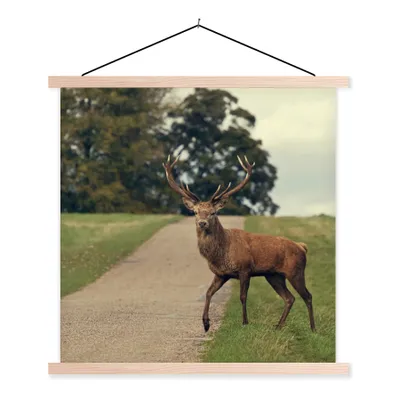 Produktbild von MuchoWow® Textilposter Hirsche - Grün - Gras 120x120 cm mit holzfarbenen Rahmen - Textil-Poster