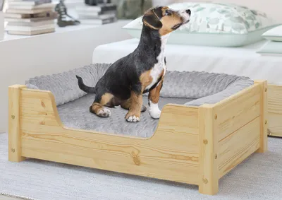 A dog sitting in a wooden dog bed with a gray cushion.