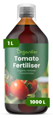 Obrázok produktu pre Tekuté hnojivo pre paradajky 1 L – 2-1-8 (NPK) – Vhodné pre paradajky – Zaisťuje bohatú úrodu, zdravý rast a silné korene – Organifer