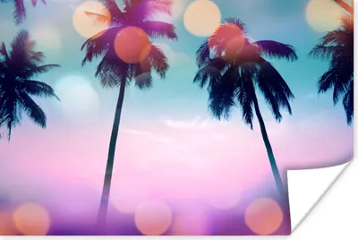Produktbild von MuchoWow® Poster Sommer - Palmen - Himmel - Rosa 30x20 cm - Plakate - Print