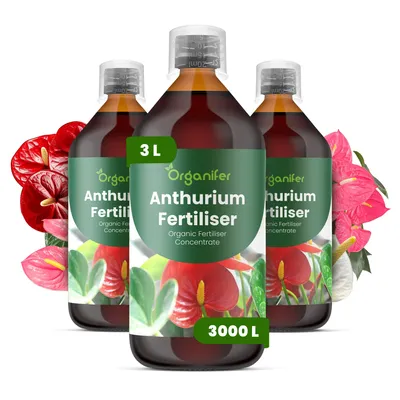 Obrázek produktu pro Anthurium Tekuté Hnojivo 3x1 L – 3-4-3 NPK – Pro Kvetoucí Rostliny – Pro Bujné Květy & Silné Kořeny – Podporuje Stonky & Vitalitu – Organifer