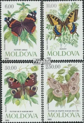 Produktbild von Briefmarken Moldawien 1993 Mi 77-80 (kompl.Ausg.) postfrisch Schmetterlinge