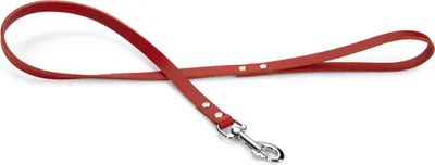Image de Beeztees - Laisse pour chien - rivetée - rouge - 100x16 cm