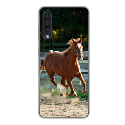 Produktbild von MuchoWow® Handyhülle Schutzhülle Hülle für Samsung Galaxy A50 Pferd - Licht - Sand Silikon Softcase Handy Hülle - Mobiltelefonhülle