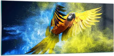 Produktbild von Bilder auf glas - Papagei Vogel Feder - 120x50cm - Glasbilder - Wandbilder - Kunstdruck - zum Aufhängen bereit - Wanddekoration aus Glas - Glas Bilder - Wandbild auf Glas - Einteilig - GAB120x50-3666