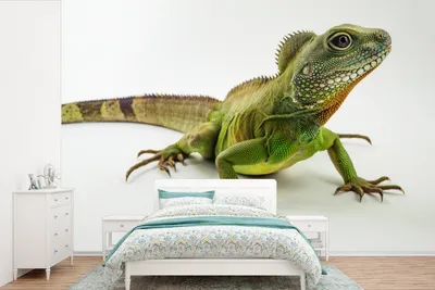 Produktbild von MuchoWow® Fototapete für Wohnzimmer oder Schlafzimmer Wandtapete Vinyl Motivtapete Eine grüne Eidechse vor einem weißen Hintergrund - 330x220 cm - Fototapeten