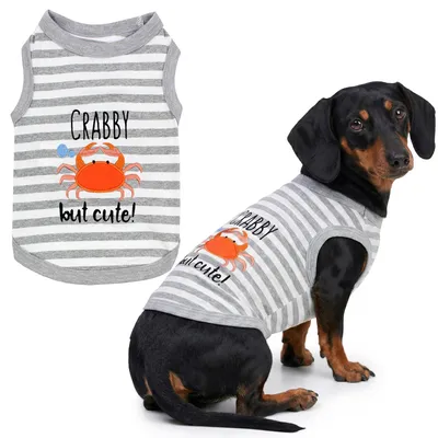 Produktbild von Sommer-T-Shirt für Hunde, "Bester Hund überhaupt", Größe XL