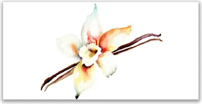 Produktbild von Glasbilder 120x60 Wandbild Druck auf Glas Blume Kunst