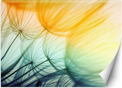Produktbild von Vlies fototapete Bunte Schlauchboote 368x254 cm Feeby Bunt inkl. Kleber einfache Montage