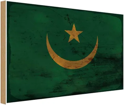 Produktbild von vianmo Holzschild 12x18 cm Mauretanien Mauritania Rost Flagge Fahne Wappen
