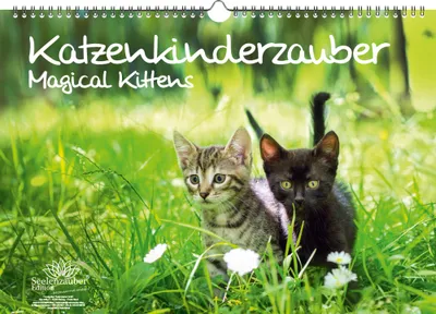 Produktbild von Katzenkinderzauber DIN A3 Kalender - Immerwährender Kalender Katzenkinder Katzenbabys - Seelenzauber